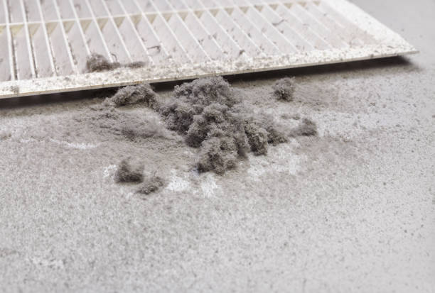 Best Emergency Air Duct Cleaning  in Capac, MI