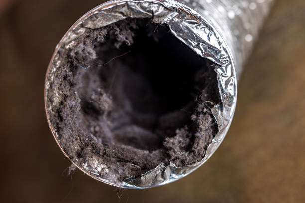 Best Emergency Air Duct Cleaning  in Capac, MI