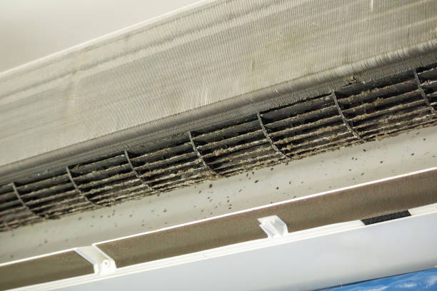Best Best Air Duct Cleaning Company  in Capac, MI